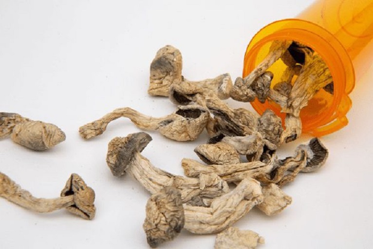 Mushrooms as a Psychedelic Medication