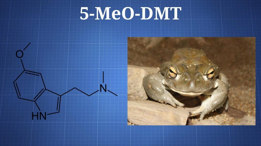 Can I order 5-MeO-DMT online safely and legally?